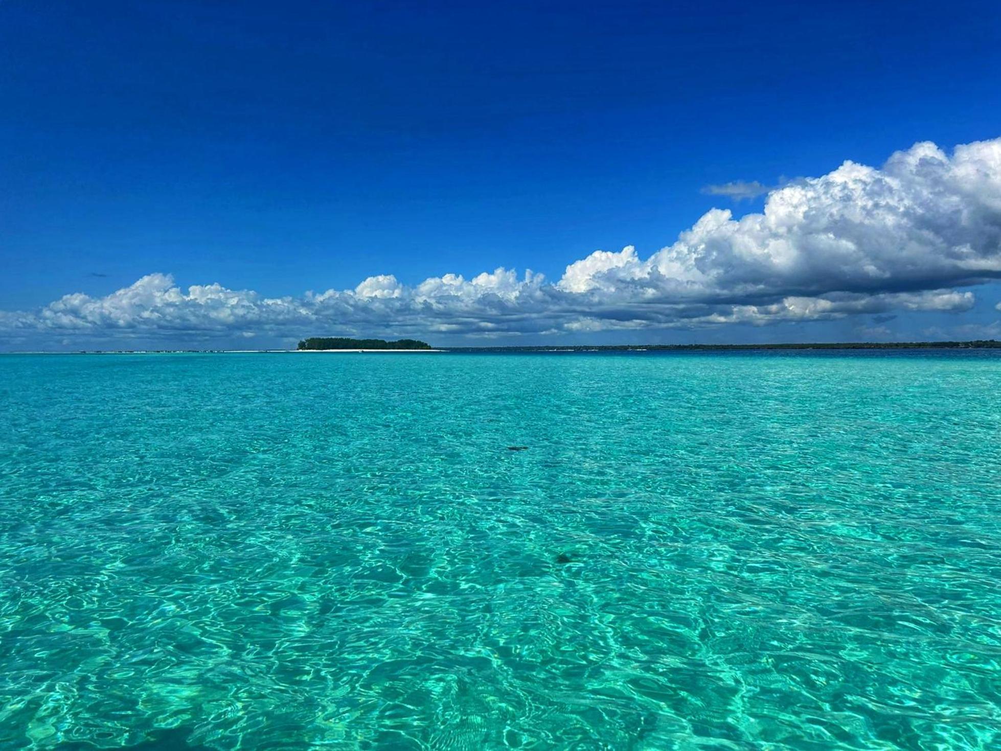 Polly Lodge Bungalow Zanzibar Kiwengwa Kiwengwa  Eksteriør billede