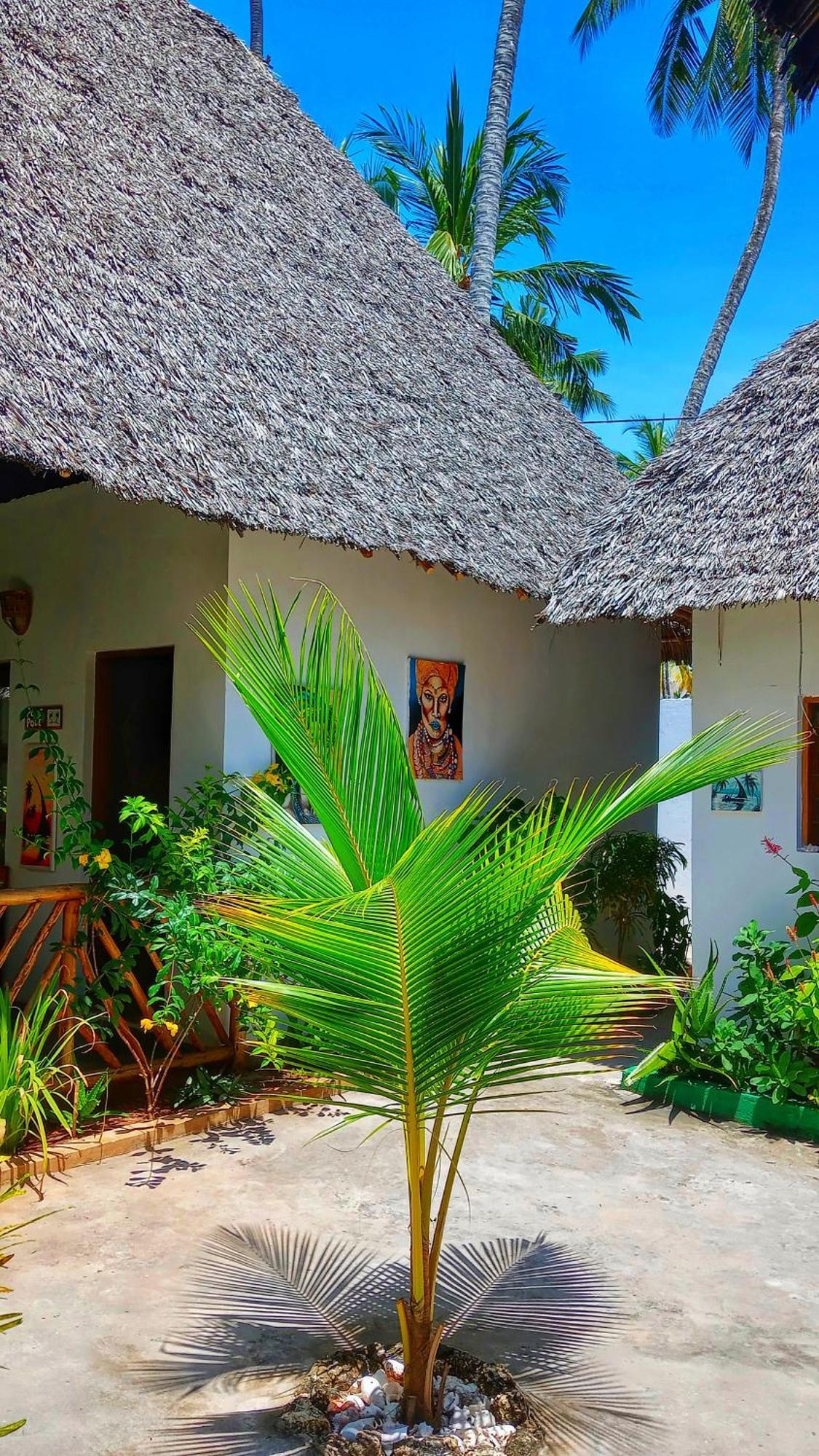 Polly Lodge Bungalow Zanzibar Kiwengwa Kiwengwa  Eksteriør billede