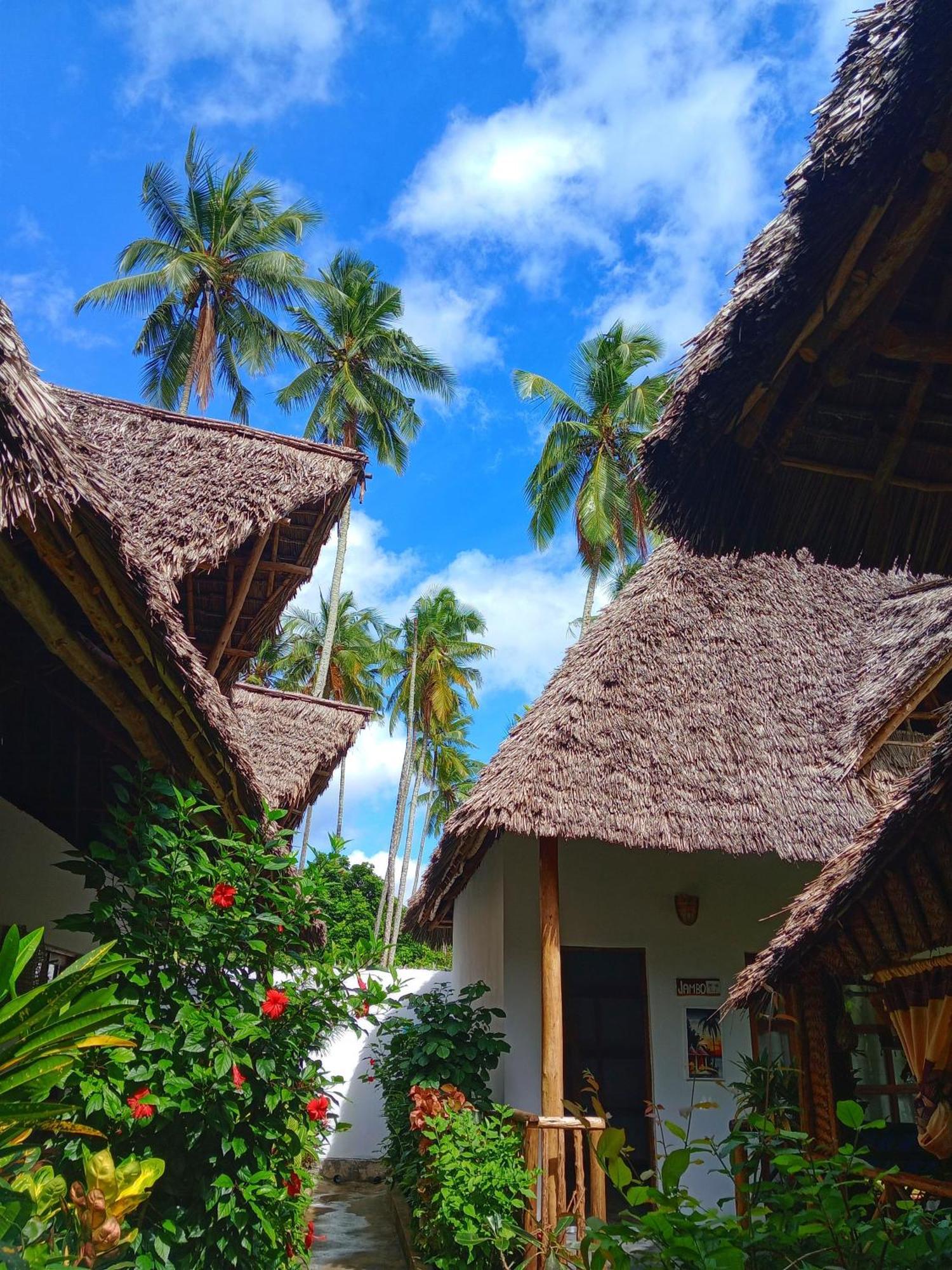 Polly Lodge Bungalow Zanzibar Kiwengwa Kiwengwa  Eksteriør billede